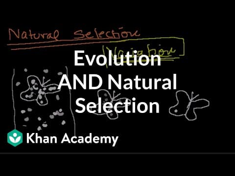 Introduction to Evolution and Natural Selection