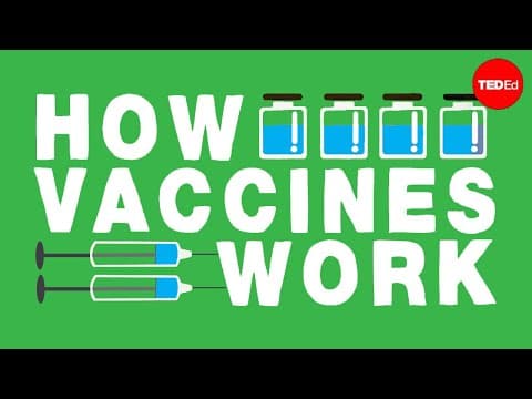 How Vaccines Work