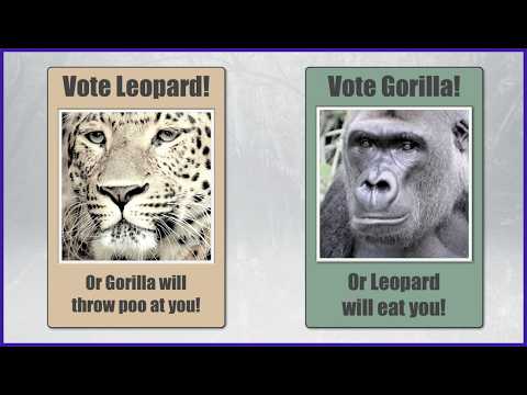 Why Democracy Is Hard